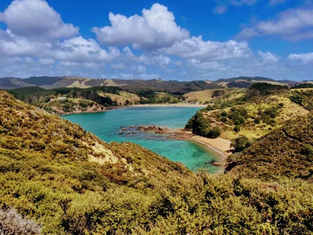 view on the Mahinepua Peninsula Track new zealand