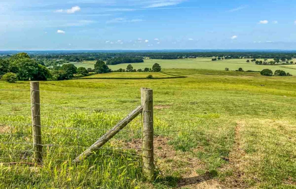 view from Pluckley