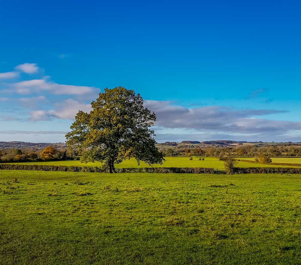 cotswolds landscape