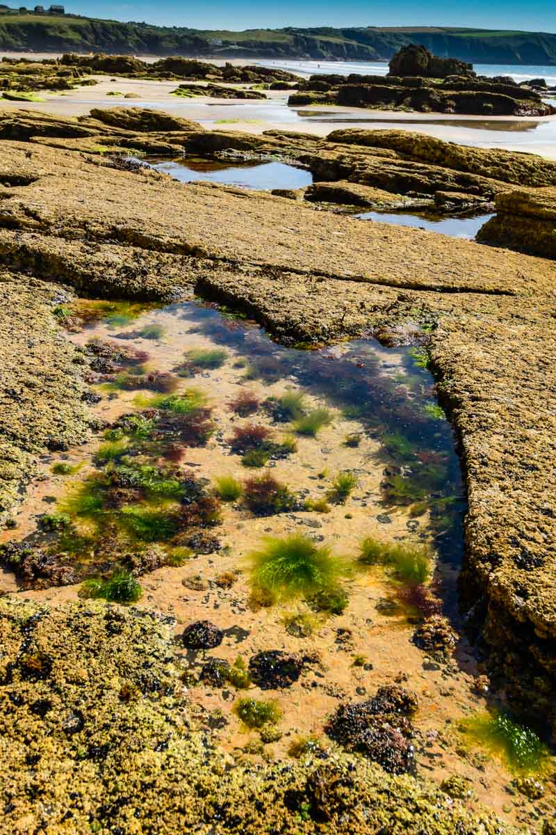 rock pools