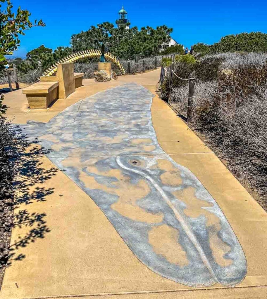 whale spine and cement image