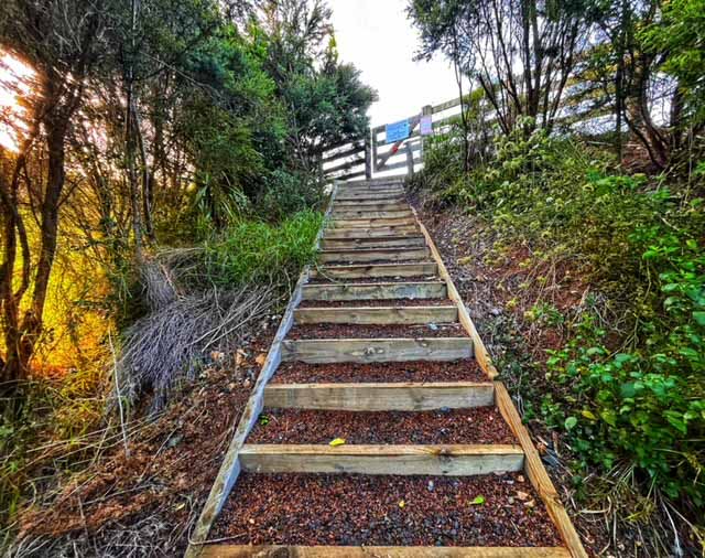 wooden steps