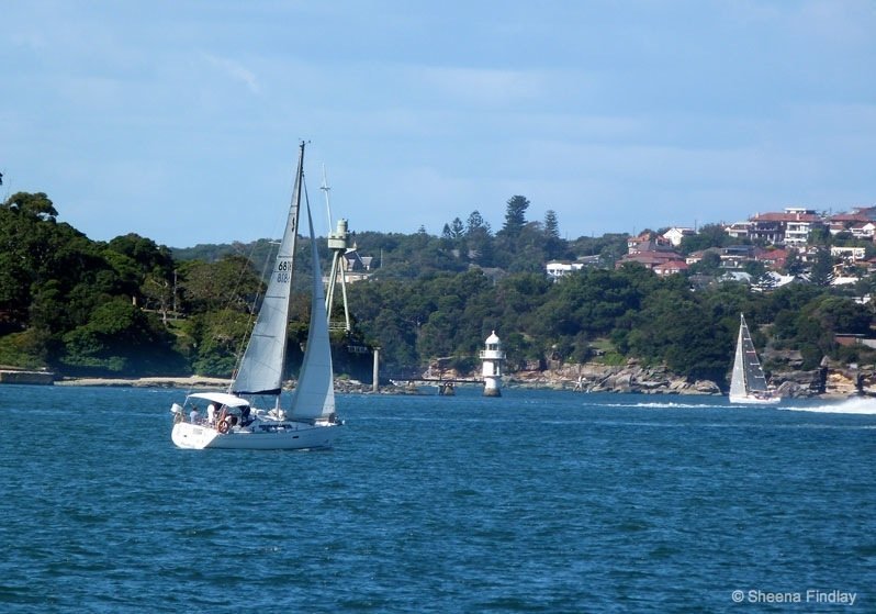 Yachts Sydney